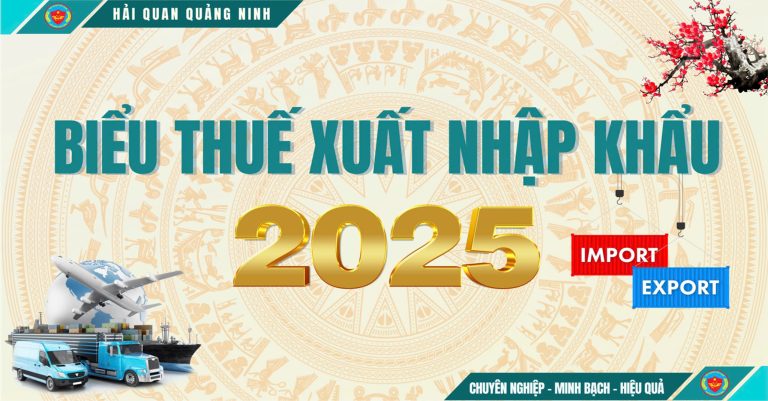 Biểu thuế Xuất Nhập khẩu 2025